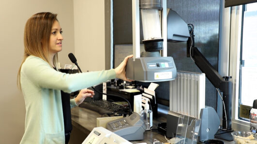 Image of a Teller at work.